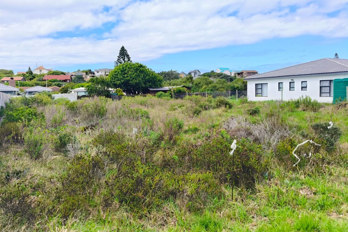 Prime 768m2 Level Stand – 650m From the Waves - Photo 3