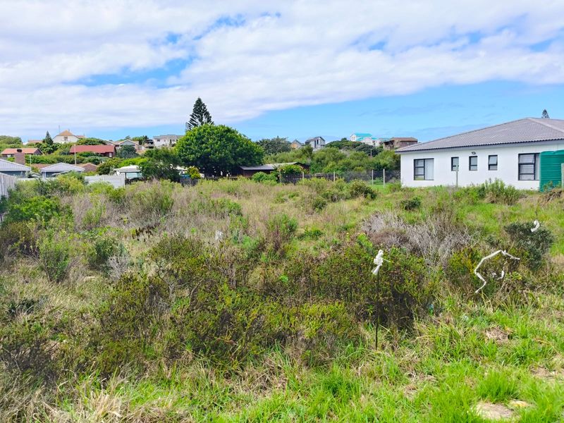 Prime 768m2 Level Stand – 650m From the Waves - Photo 3