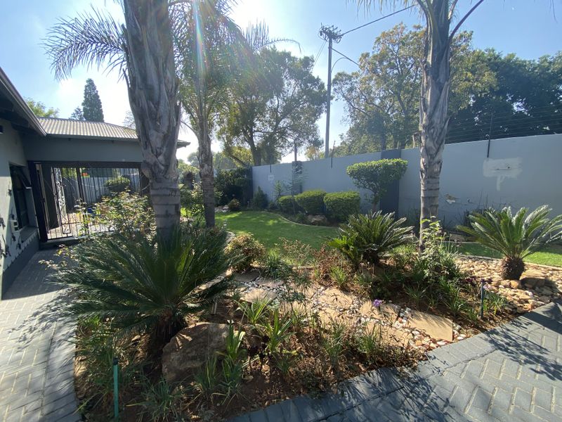 A well-maintained garden featuring a paved walkway, established palm trees, manicured lawn, and secure perimeter wall with electric fencing.