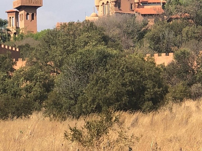 A Landmark Hotel Estate With Wildlife, Cinema & 19 Development Plots - Photo 6