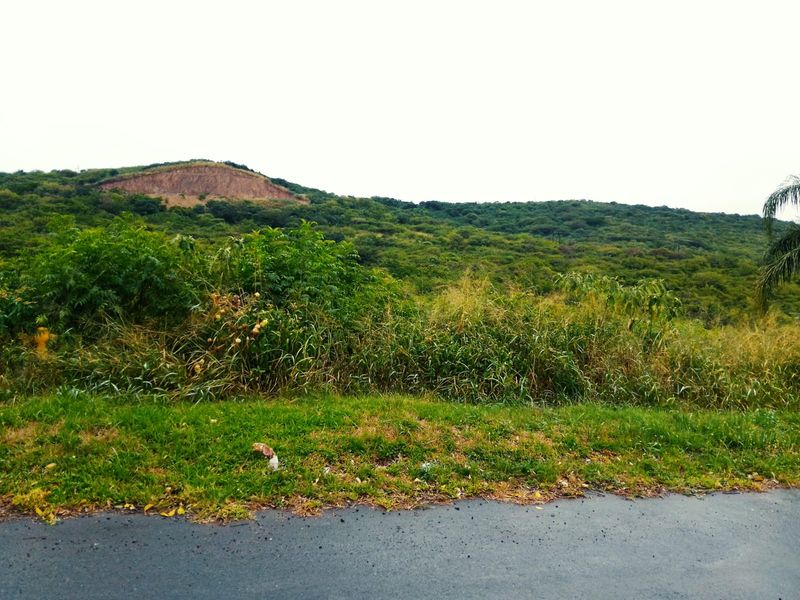 VACANT LAND FOR SALE IN MANDENI - Photo 3