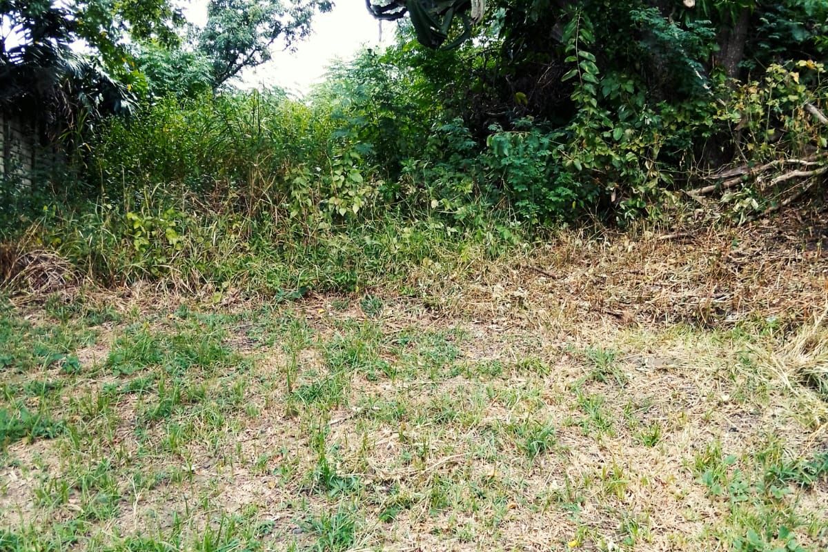 VACANT LAND FOR SALE IN MANDENI - Photo 2