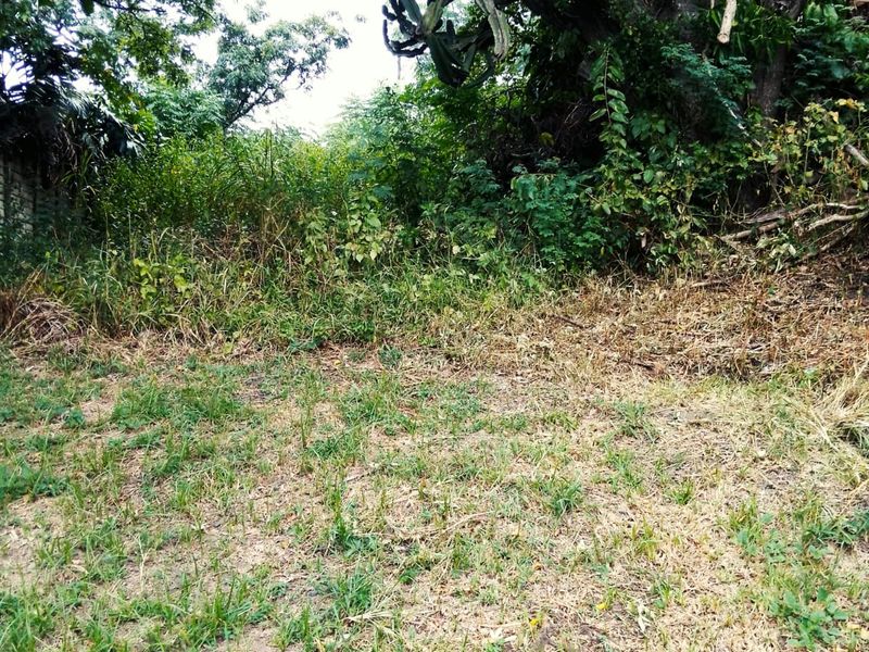 VACANT LAND FOR SALE IN MANDENI - Photo 2