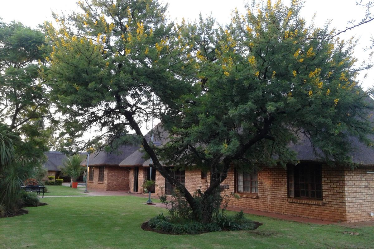 Self-Sustainable 4.2ha Small Holding with Flatlet, Pool and Entertainment Oasis - Photo 5