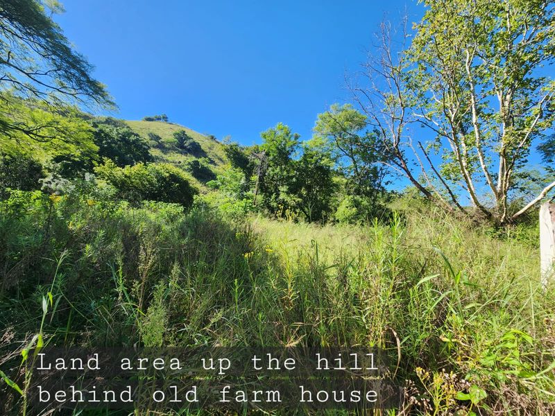 Vacant Land - 24 Hectares of Scenic Countryside – Prime Opportunity Near Richmond - Photo 8