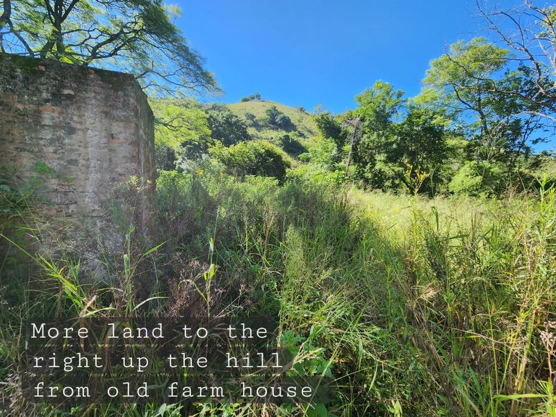 Vacant Land - 24 Hectares of Scenic Countryside – Prime Opportunity Near Richmond - Photo 7