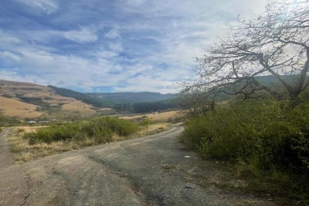 Vacant Land - 24 Hectares of Scenic Countryside – Prime Opportunity Near Richmond - Photo 2