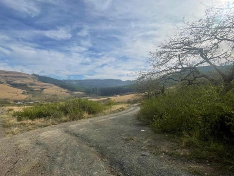 Vacant Land - 24 Hectares of Scenic Countryside – Prime Opportunity Near Richmond - Photo 2