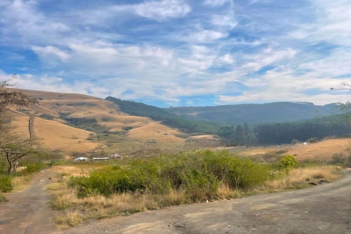 Vacant Land - 24 Hectares of Scenic Countryside – Prime Opportunity Near Richmond - Photo 3