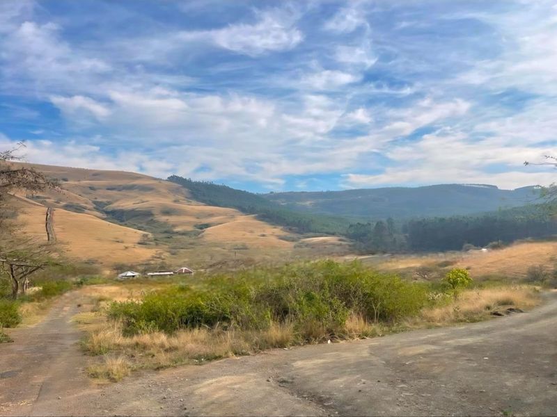 Vacant Land - 24 Hectares of Scenic Countryside – Prime Opportunity Near Richmond - Photo 3