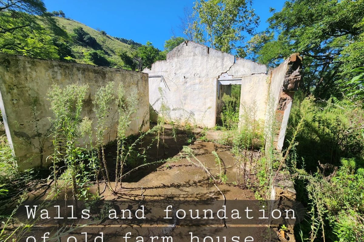 Vacant Land - 24 Hectares of Scenic Countryside – Prime Opportunity Near Richmond - Photo 5