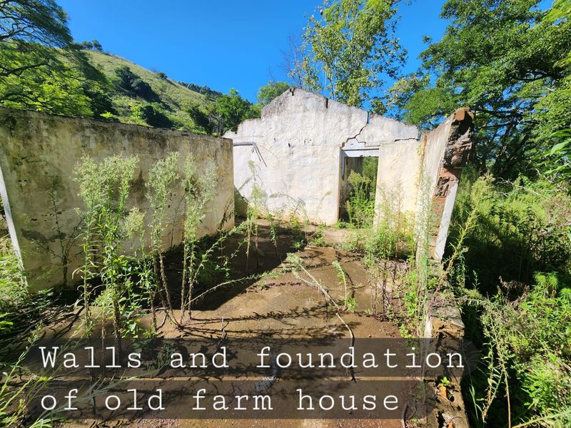 Vacant Land - 24 Hectares of Scenic Countryside – Prime Opportunity Near Richmond - Photo 5