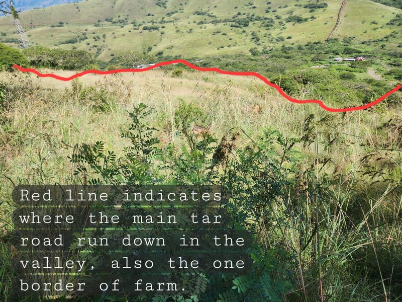 Vacant Land - 24 Hectares of Scenic Countryside – Prime Opportunity Near Richmond - Photo 10