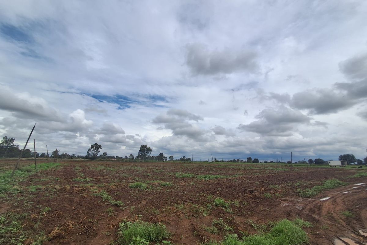 INVESTMENT OPPORTUNITY for property developers!!!  in Meyerton - Photo 4