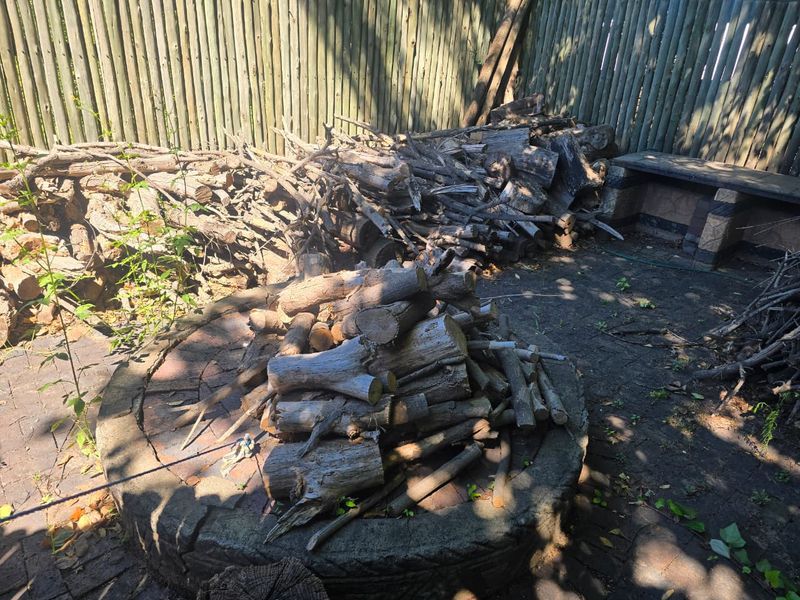 Luxury Entertainer’s Dream in Prestigious Three Rivers Proper. - Photo 10