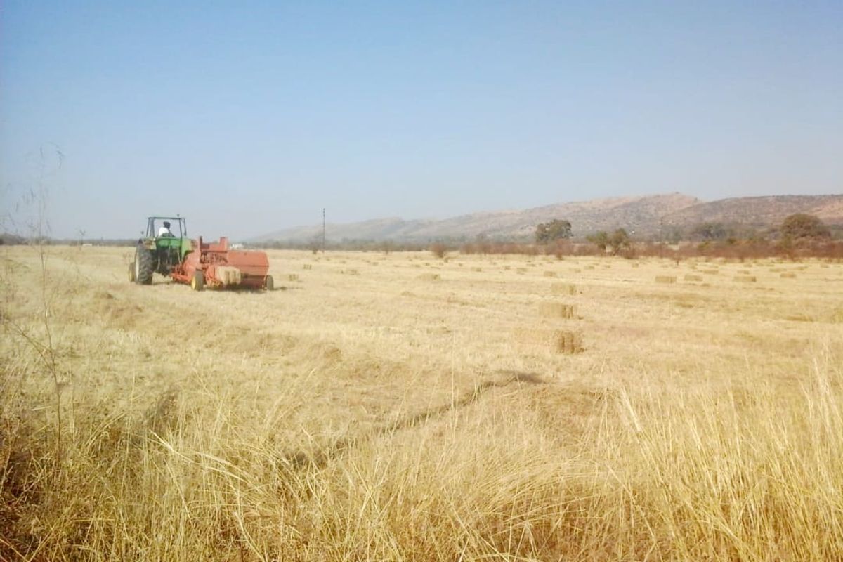 79 Hectares FARM LAND with SANDWORKS and Natural DAM - Photo 2