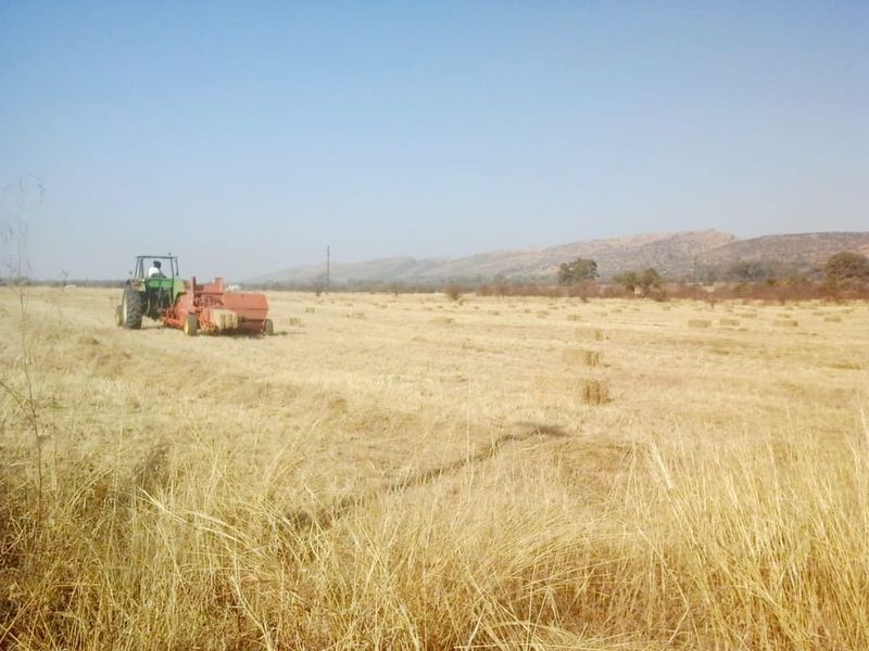 79 Hectares FARM LAND with SANDWORKS and Natural DAM - Photo 2