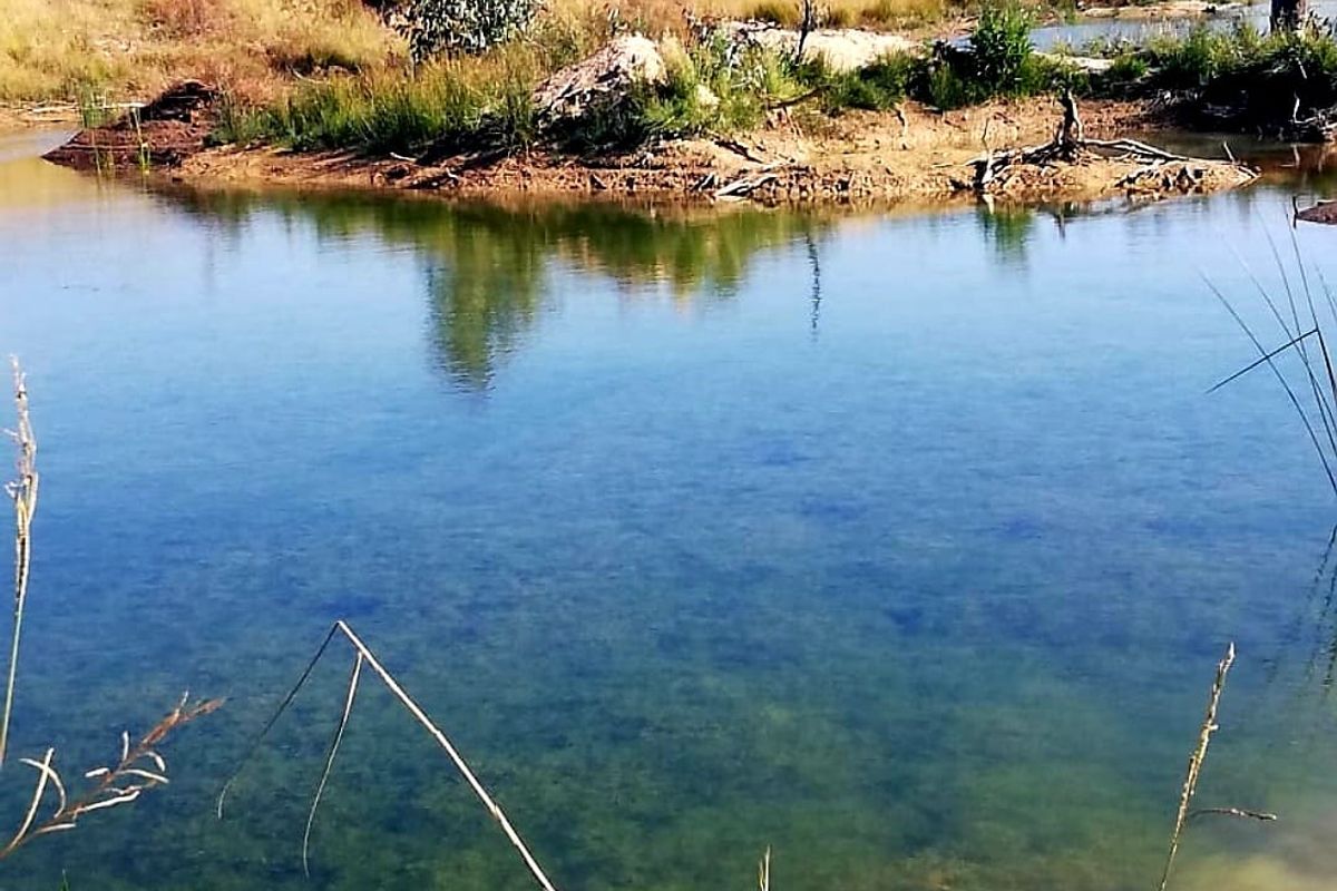 79 Hectares FARM LAND with SANDWORKS and Natural DAM - Photo 5