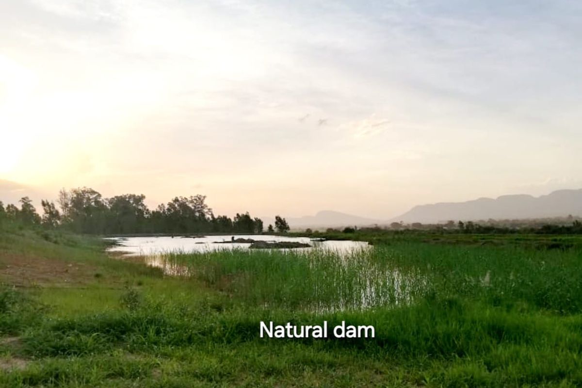 79 Hectares FARM LAND with SANDWORKS and Natural DAM - Photo 4