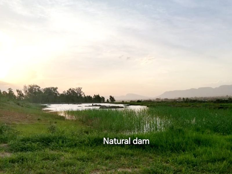 79 Hectares FARM LAND with SANDWORKS and Natural DAM - Photo 4