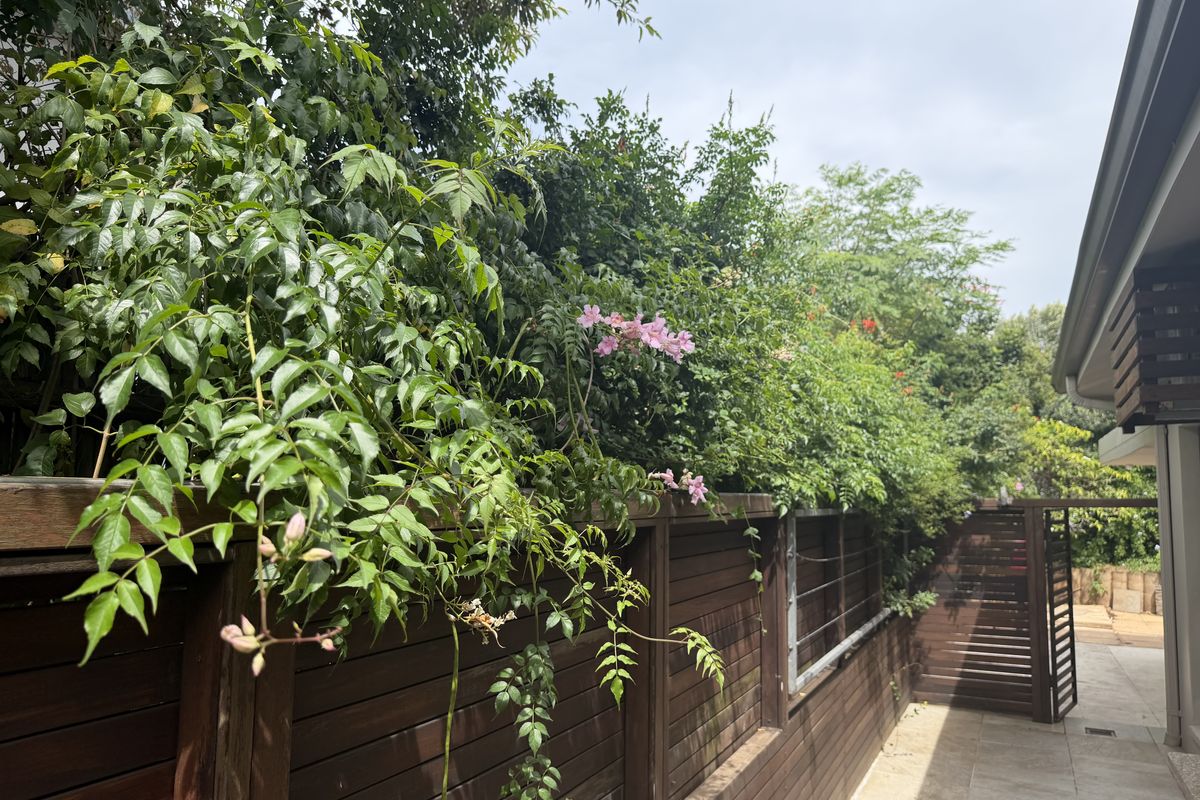 If cooking and food are your love language then this is your home. - Photo 4