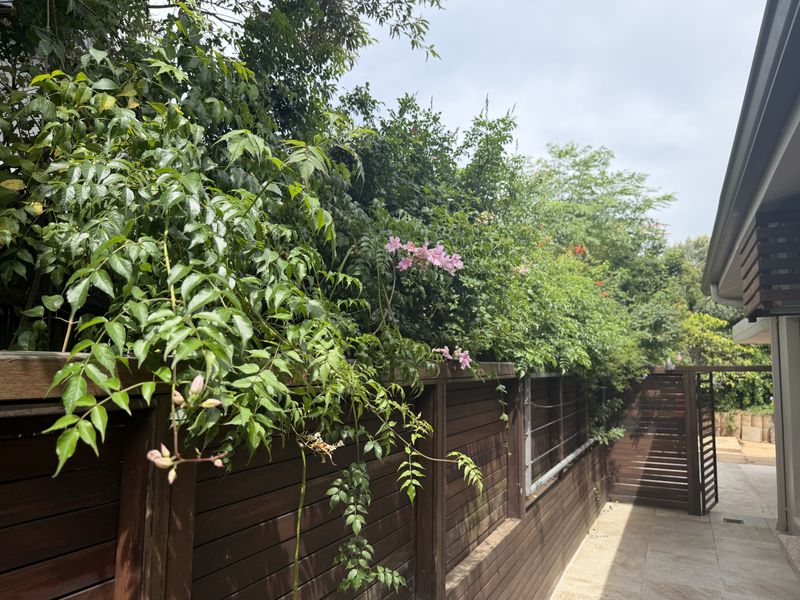 If cooking and food are your love language then this is your home. - Photo 4