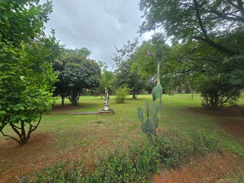 Exceptional Lifestyle Smallholding with Luxury Entertaining and Strong Income Potential. - Photo 8