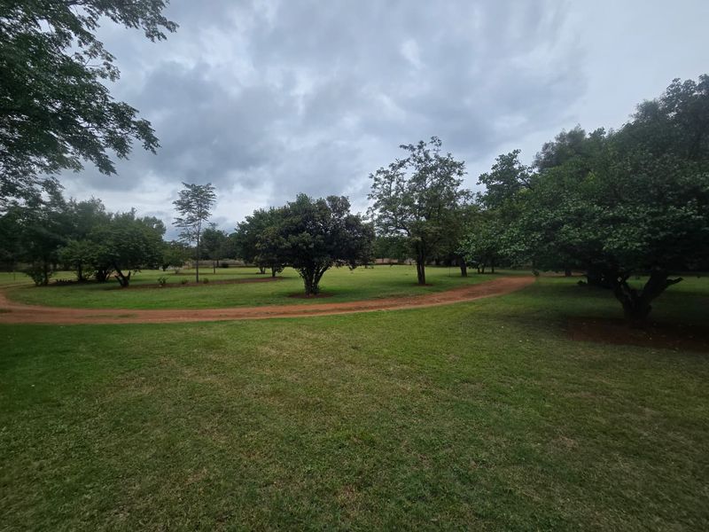 Exceptional Lifestyle Smallholding with Luxury Entertaining and Strong Income Potential. - Photo 6