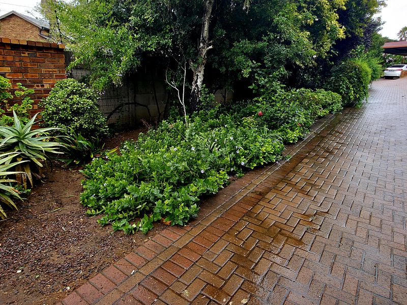 Discover the perfect blend of space, comfort, and entertainment in this beautifully maintained famil - Photo 5