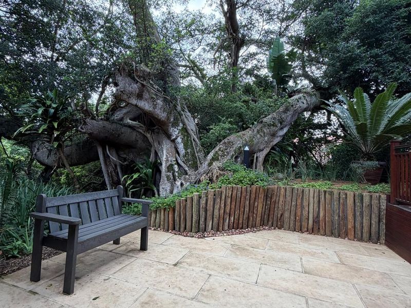 Private Forest Retreat in Zimbali Estate - Photo 6