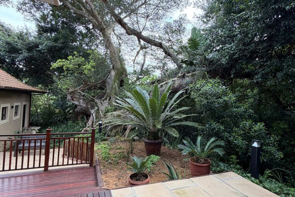 Private Forest Retreat in Zimbali Estate - Photo 4
