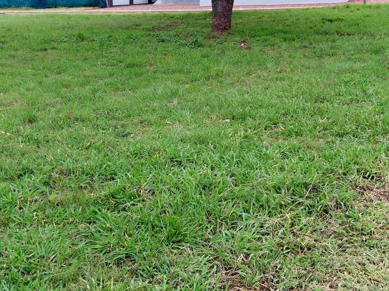 Prime Stand in Elegant Northview Estate - Photo 8