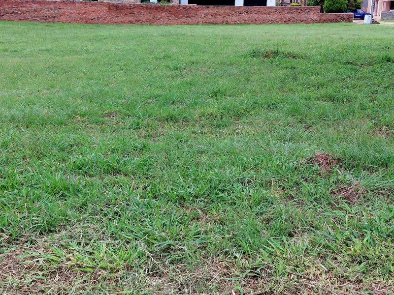 Prime Stand in Elegant Northview Estate - Photo 6