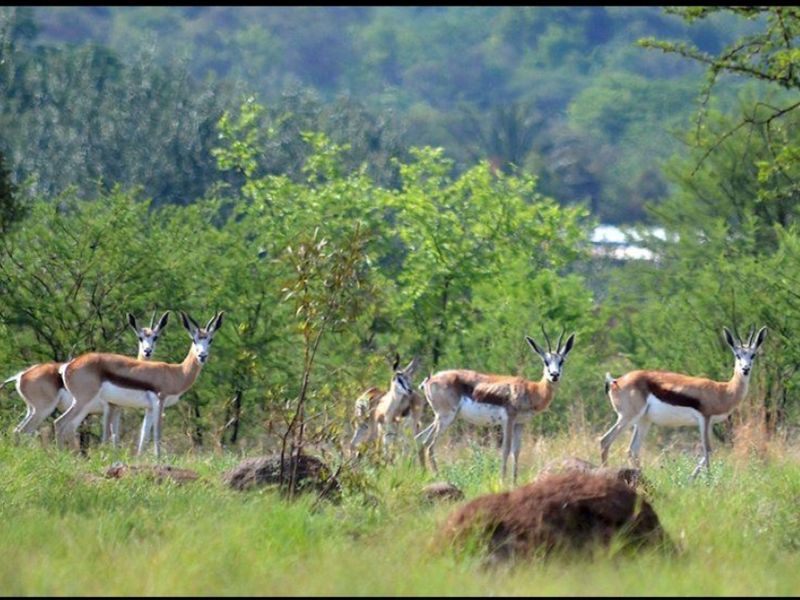 Spacious 1 252 m2 Full Title Stand in La Camargue Private Country Estate - Photo 8
