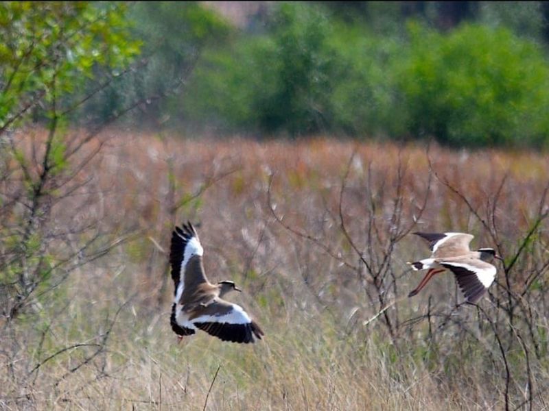 Spacious 1 252 m2 Full Title Stand in La Camargue Private Country Estate - Photo 3