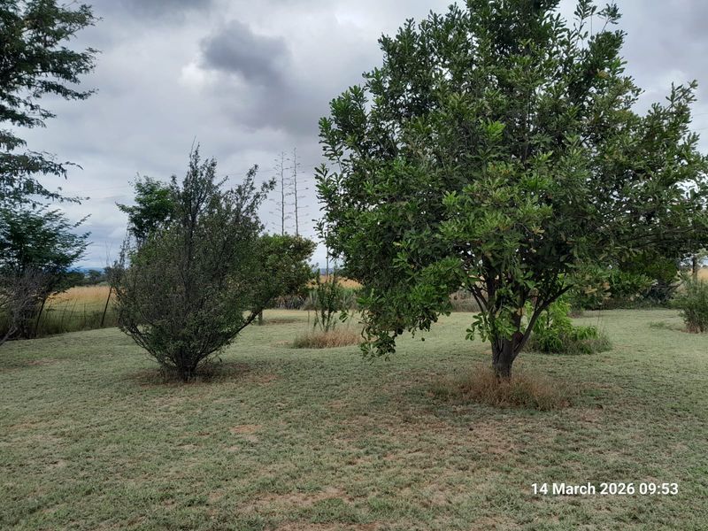 2 HOUSES with Cattle Kraal, Chicken Coops - Photo 9