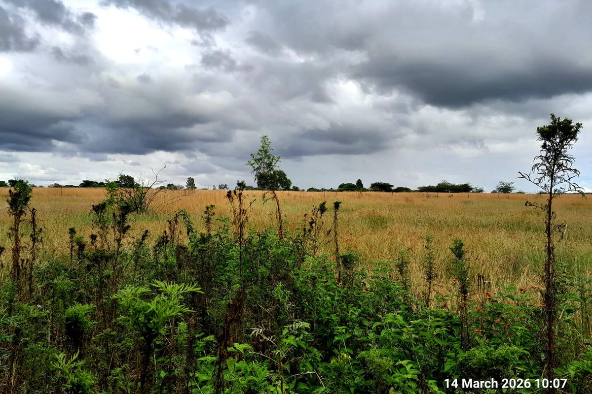 2 HOUSES with Cattle Kraal, Chicken Coops - Photo 3