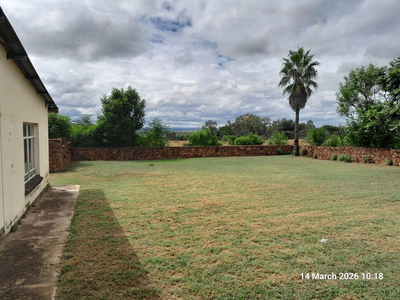 Spacious rear garden featuring a natural stone boundary wall, established palm tree, and a concrete pathway adjacent to the main dwelling.
