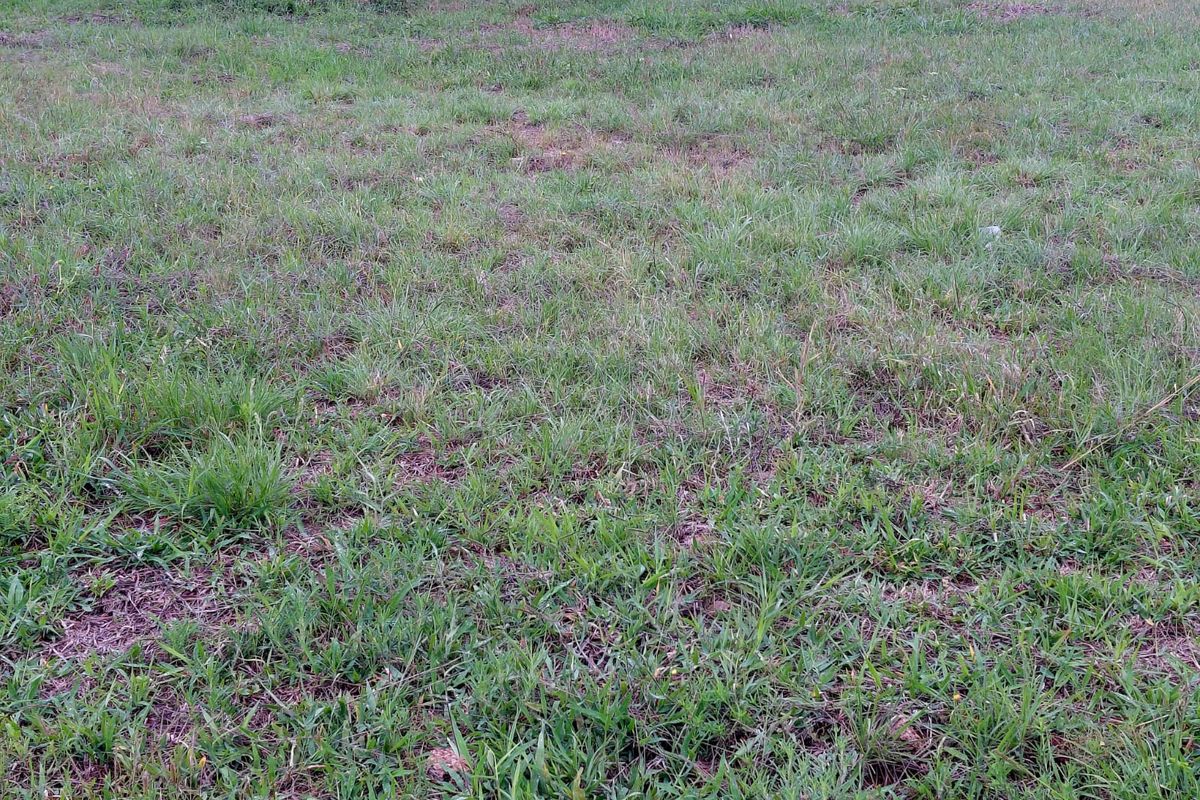 Prime Vacant Stand for sale in Woodhill Estate - Photo 5