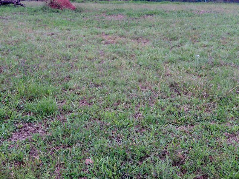 Prime Vacant Stand for sale in Woodhill Estate - Photo 5