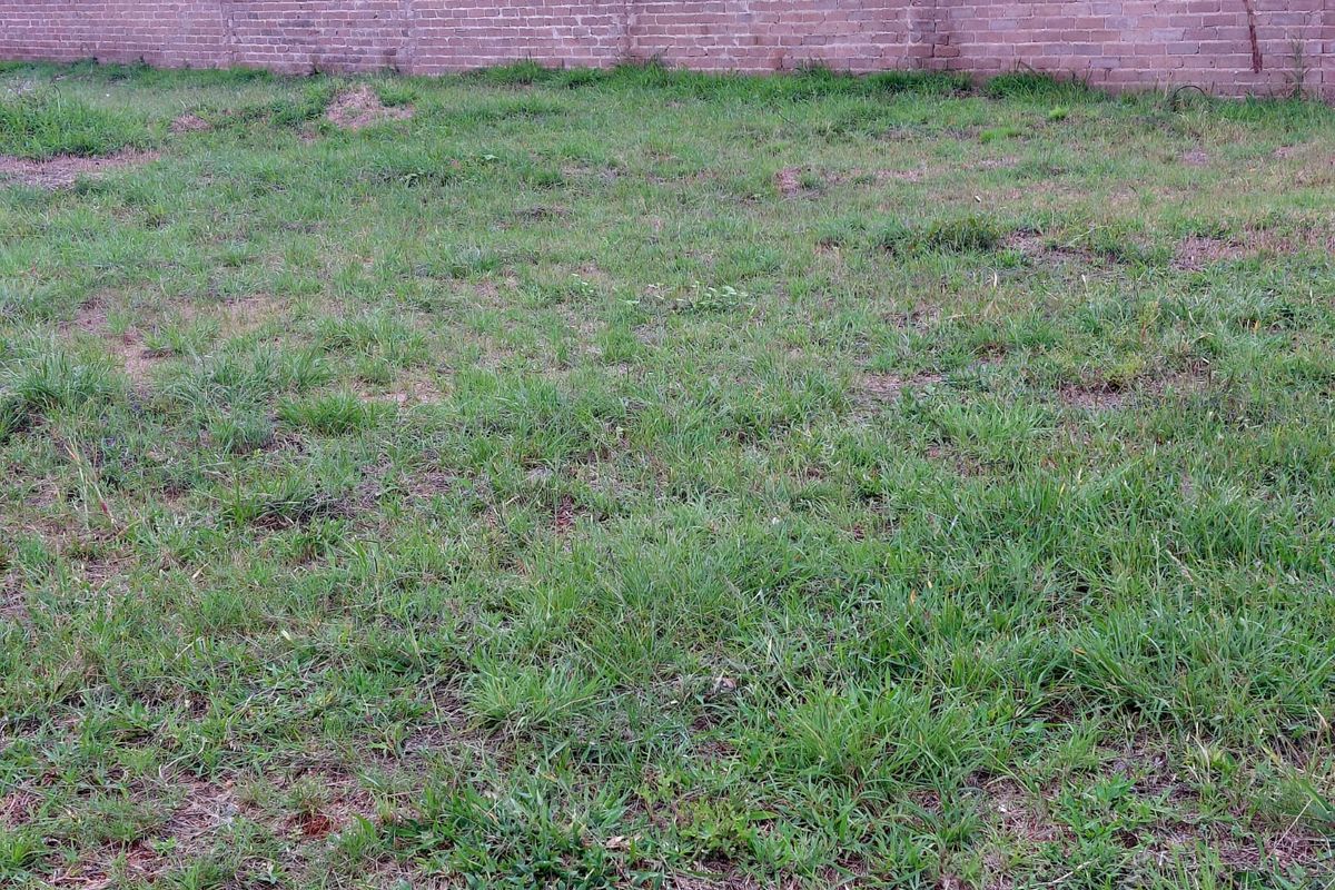 Prime Vacant Stand for sale in Woodhill Estate - Photo 4