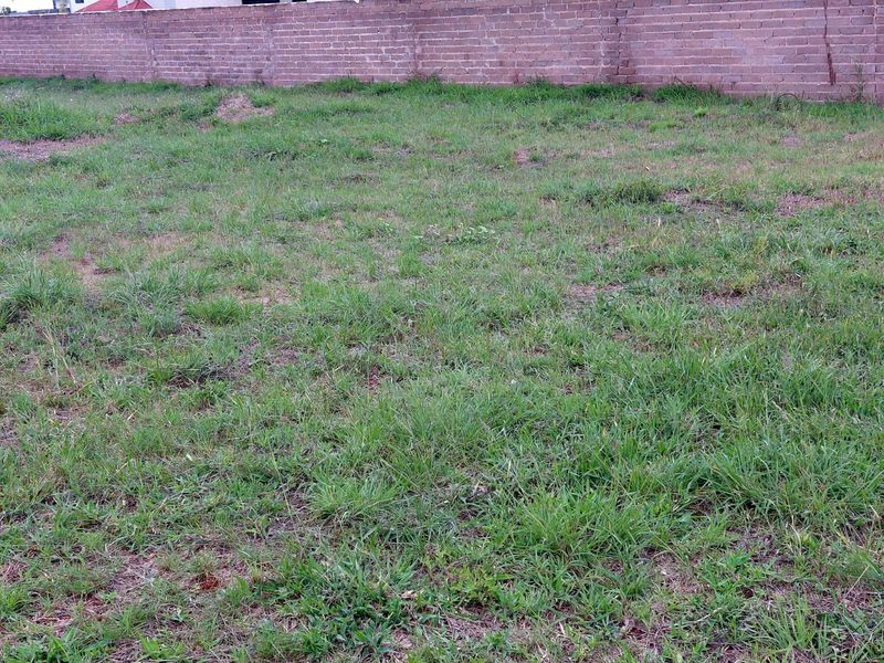 Prime Vacant Stand for sale in Woodhill Estate - Photo 4