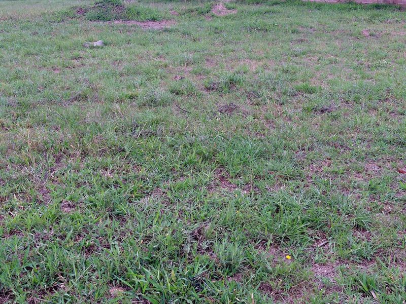 Prime Vacant Stand for sale in Woodhill Estate - Photo 7