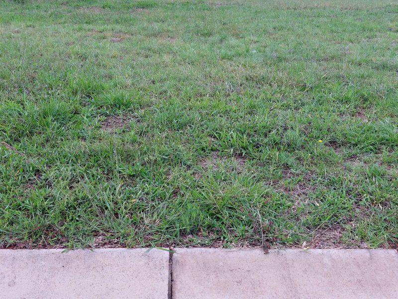 Prime Vacant Stand for sale in Woodhill Estate - Photo 6