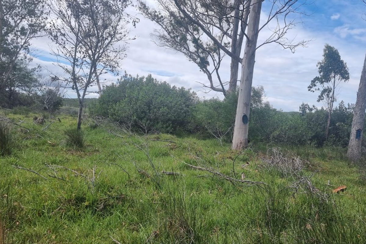 Farm situated in area soon to be developed - Photo 2