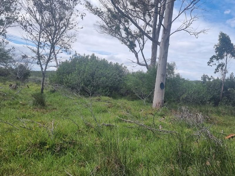 Farm situated in area soon to be developed - Photo 2