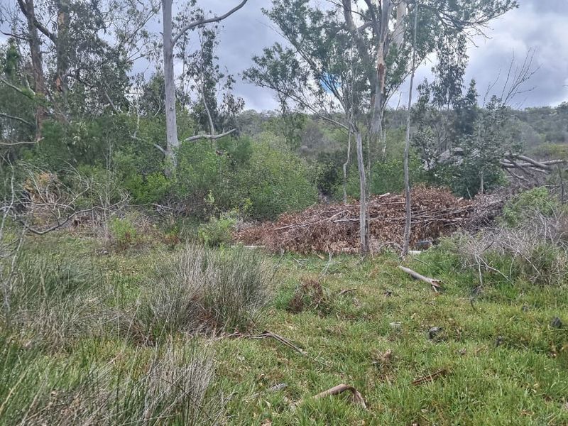 Farm situated in area soon to be developed - Photo 10