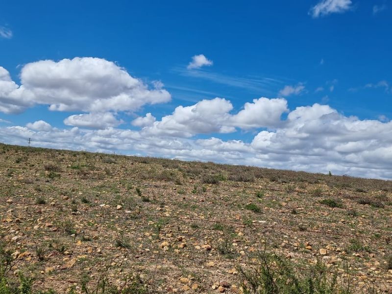 Farm situated in area soon to be developed - Photo 9