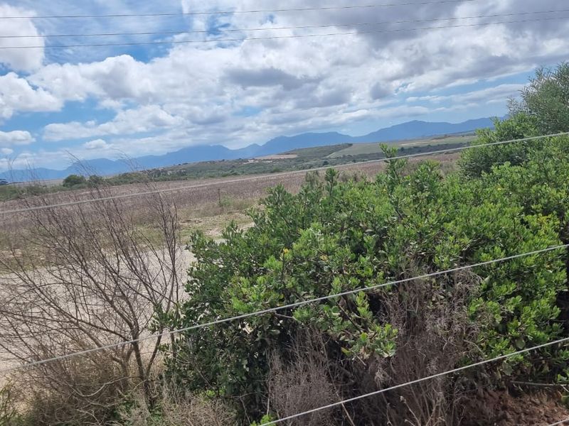 Farm situated in area soon to be developed - Photo 8