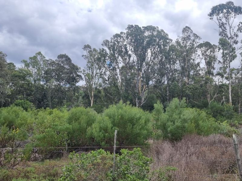 Farm situated in area soon to be developed - Photo 7